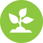 Mantenimiento de jardines