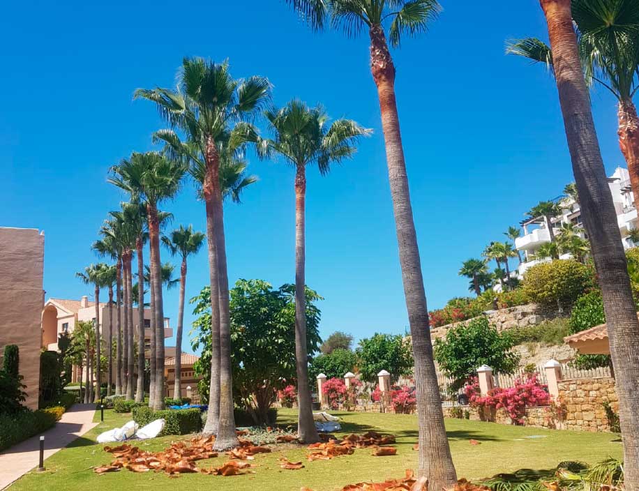 Mantenimiento de Comunidades Mantenimiento de Comunidades